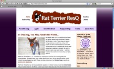 ratterrierresq
